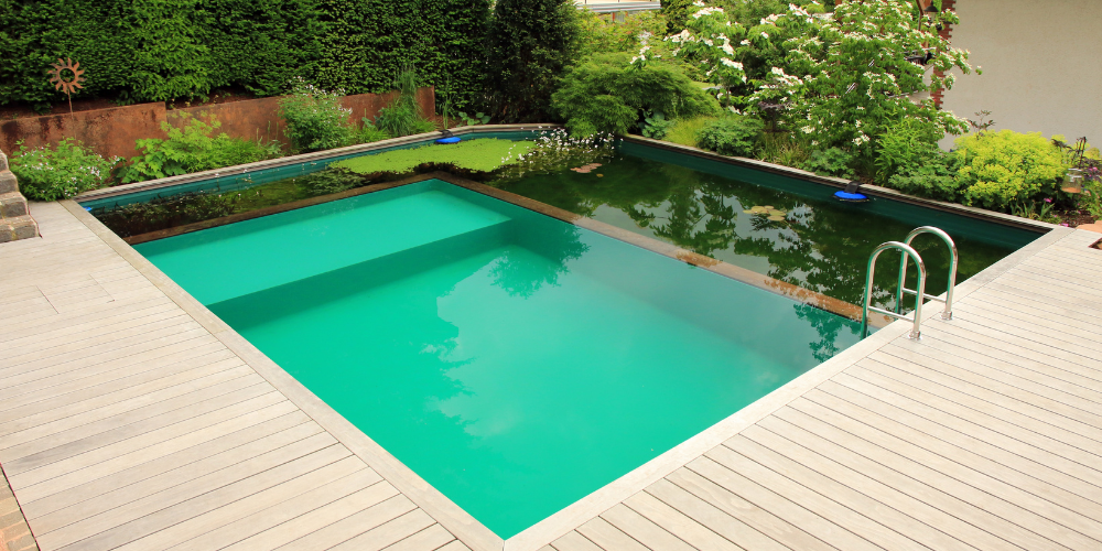 Natural pool swimming pond